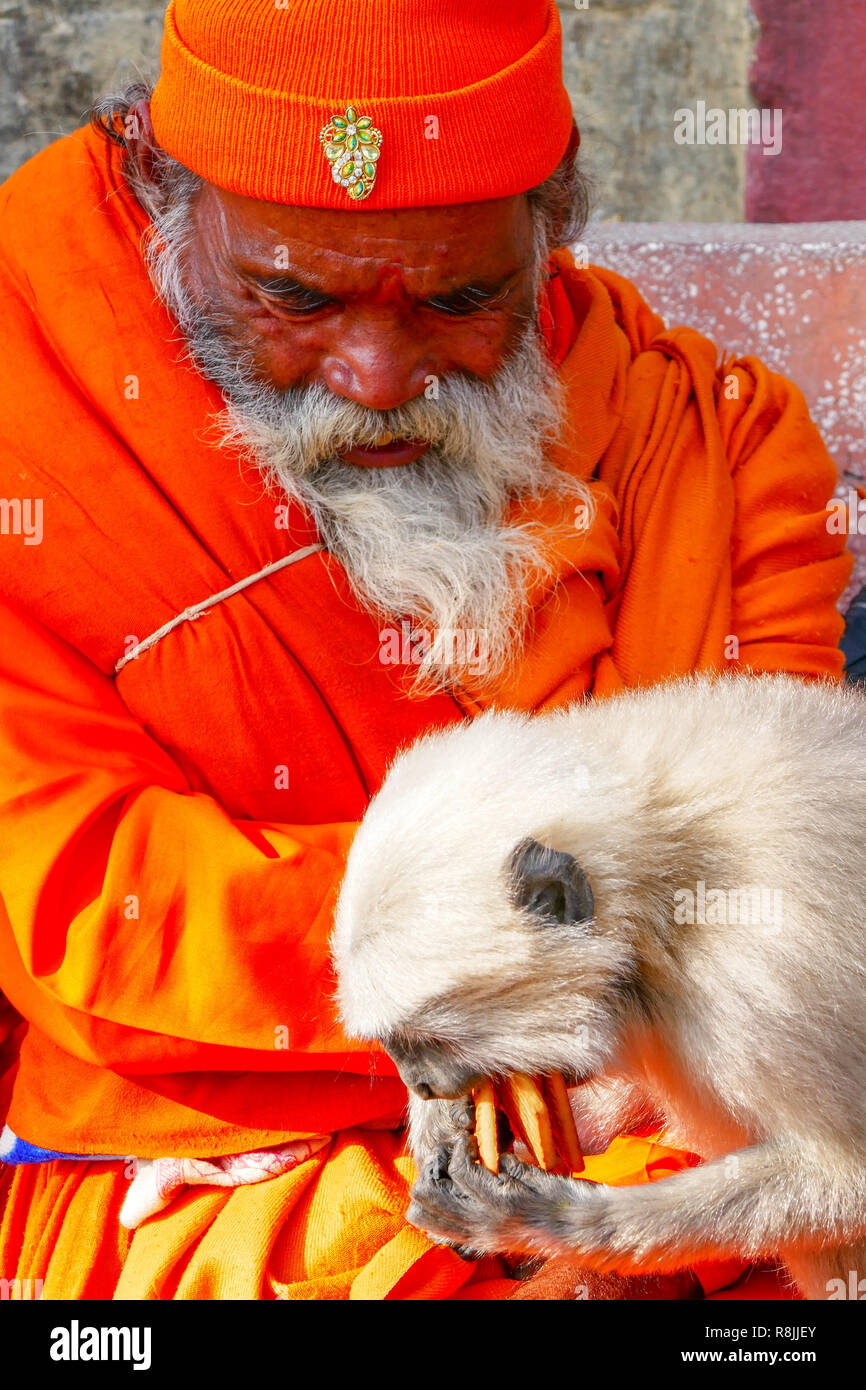 I vecchi yogi con la scimmia seduto al banco in Rishikesh, India Foto Stock
