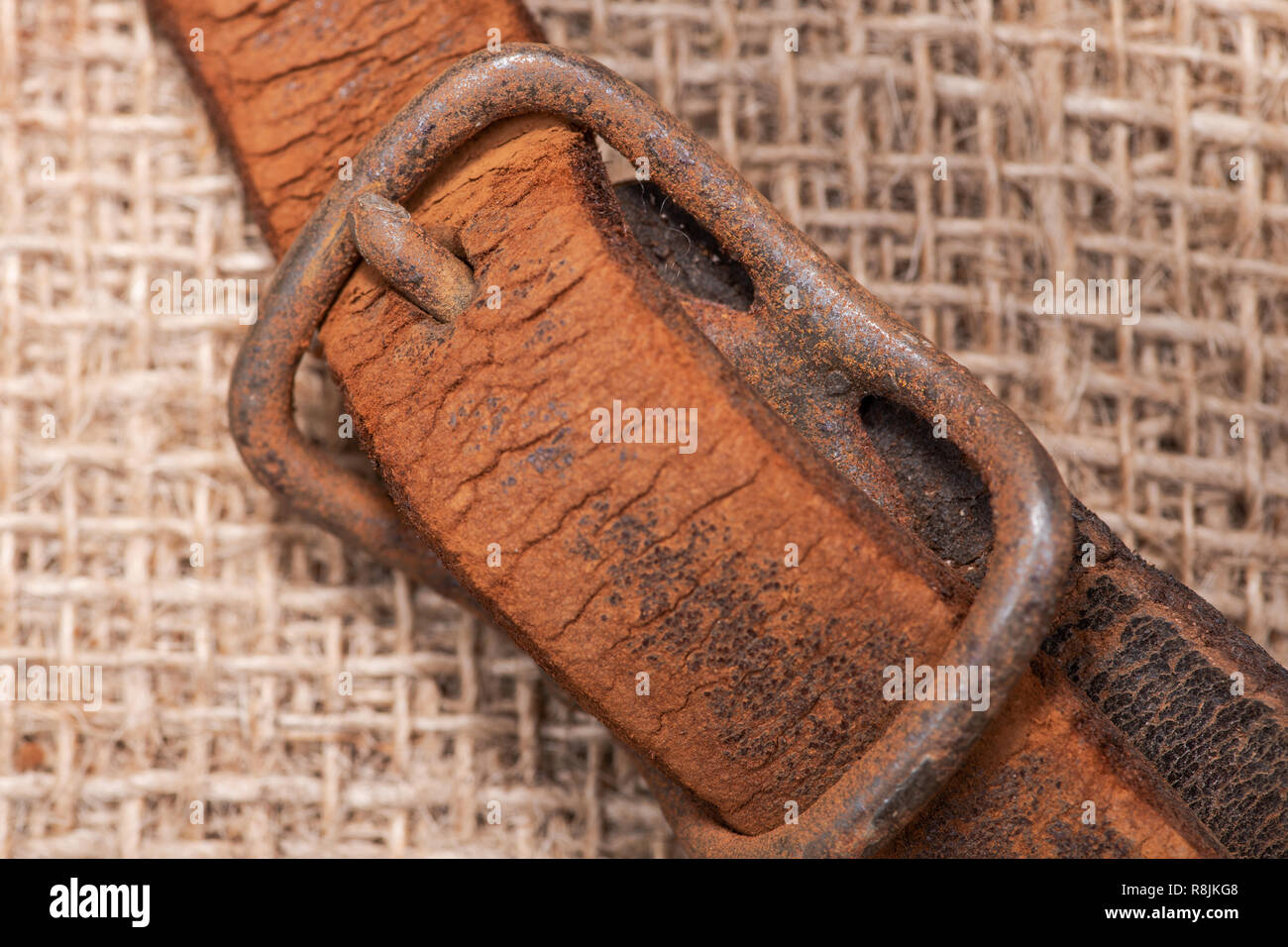 Antique vintage cinturino in pelle con ossidare fibbia in ottone da sleigh bells su tela dello sfondo. Foto Stock