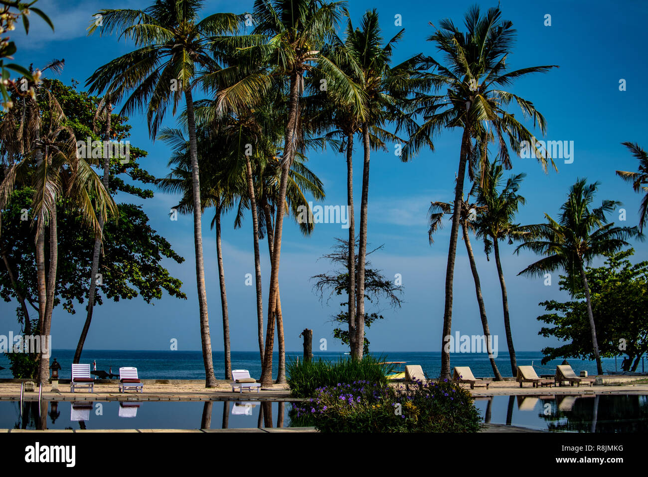 Piscina di lusso sulla spiaggia, tranquilla scena di esotico paesaggio con copia spazio, estate sfondo per vacanza vacanze Foto Stock