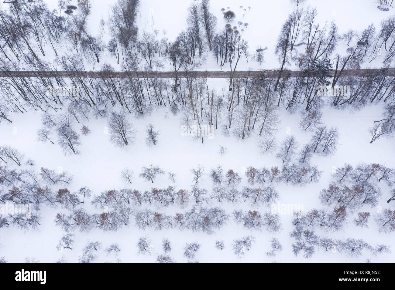 Percorso a piedi in winter park. antenna fuco fotografia di gli alberi ghiacciati Foto Stock