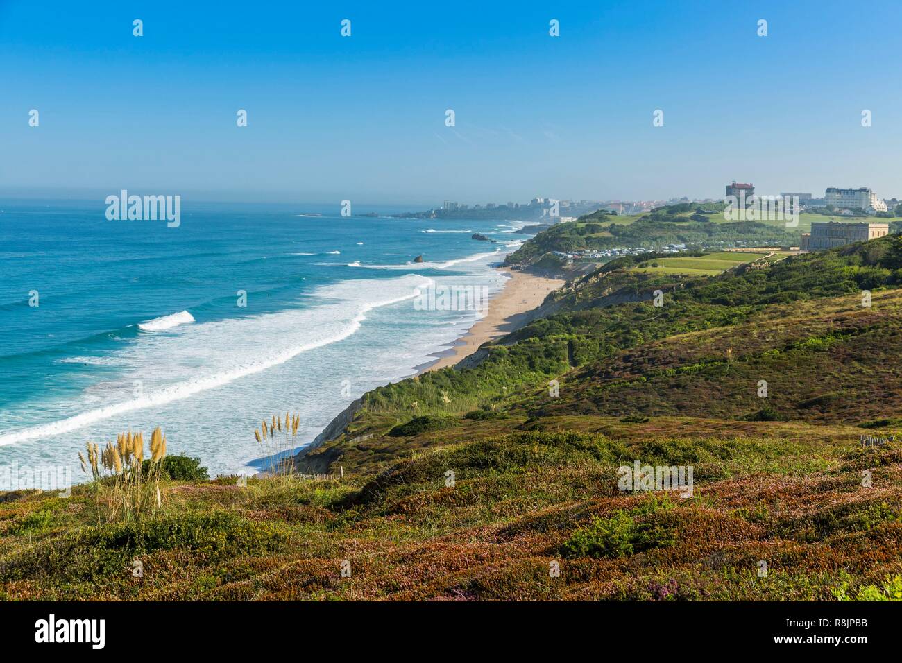 Francia, Pirenei Atlantiques, crogiolatevi paese, Bidart, spiaggia Bandiera Blu Foto Stock