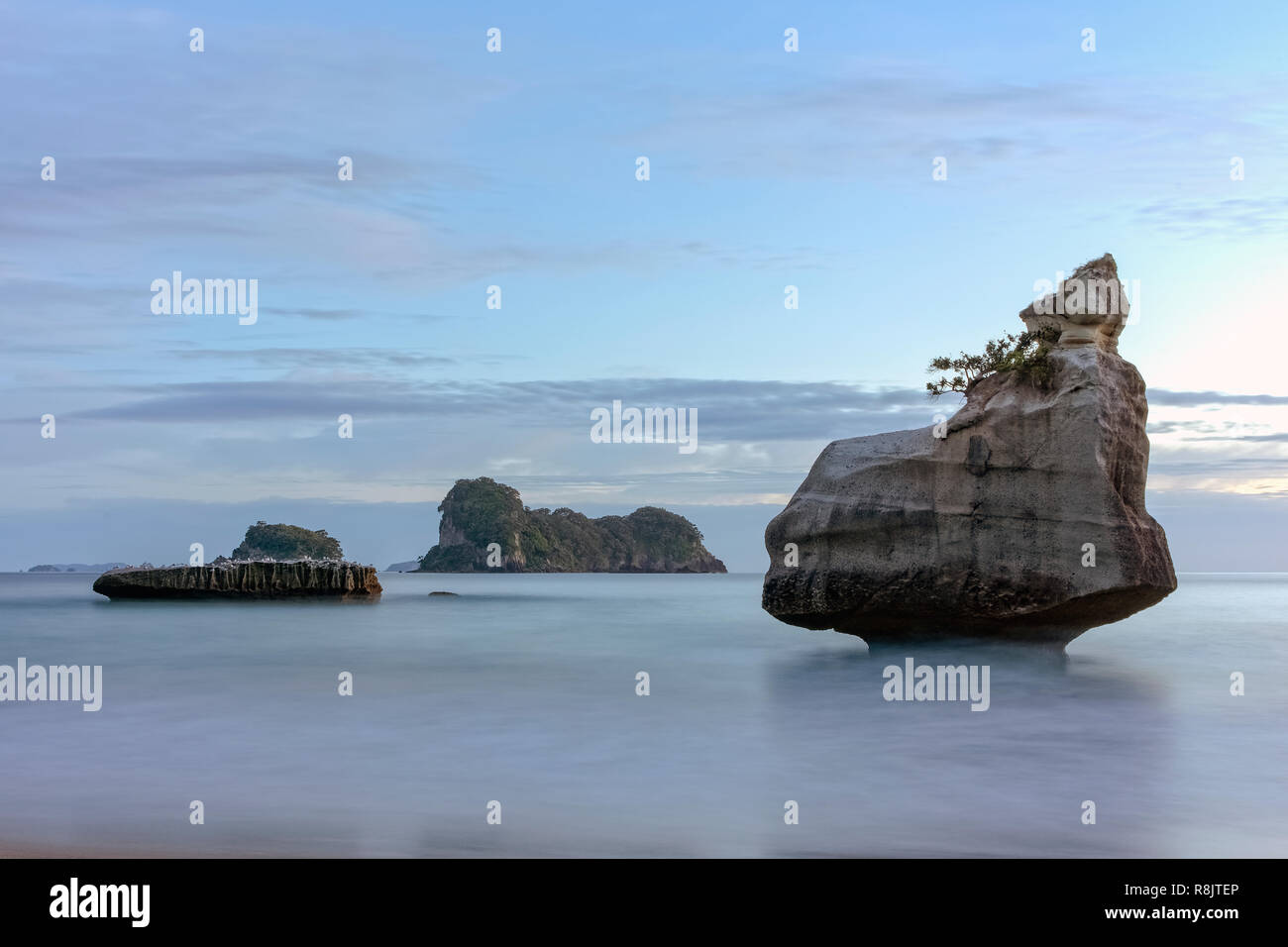 Cove della cattedrale, Hahei, Penisola di Coromandel, Isola del nord, Nuova Zelanda Foto Stock