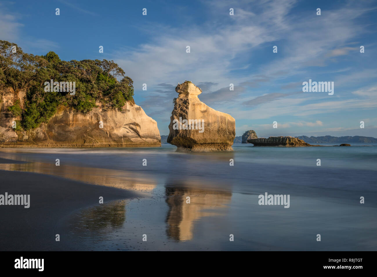 Cove della cattedrale, Hahei, Penisola di Coromandel, Isola del nord, Nuova Zelanda Foto Stock