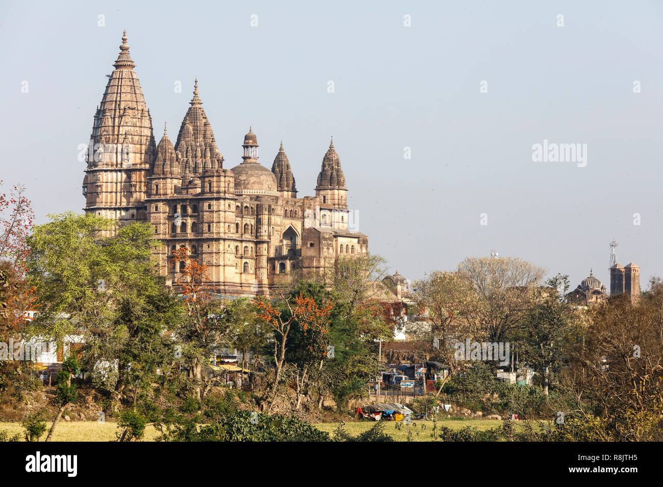 India, Madhya Pradesh, Orchha, Chaturbhuj tempio Foto Stock