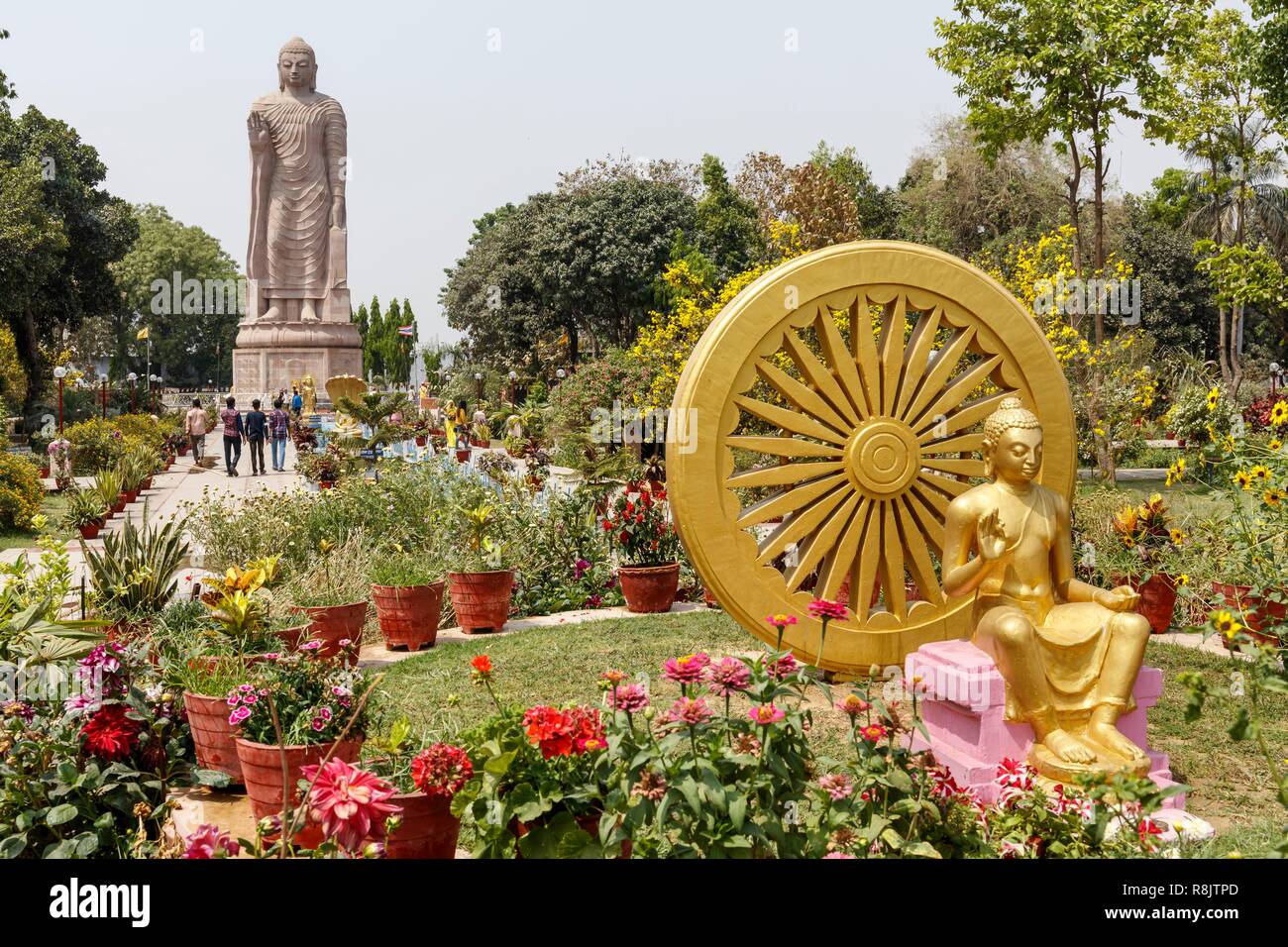 India, Uttar Pradesh, Sarnath, il tempio thailandese, dharmachakra, ruota di dharma uno dei simboli buddisti e Signore Buddha statua permanente Foto Stock