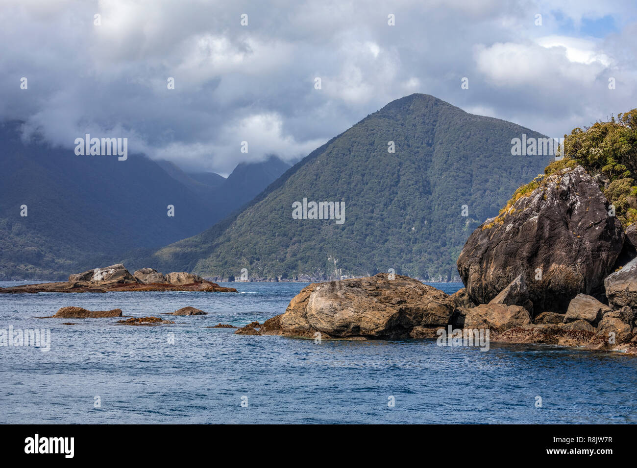 Doubtful Sound, Isola del Sud, Fiordland, Nuova Zelanda Foto Stock