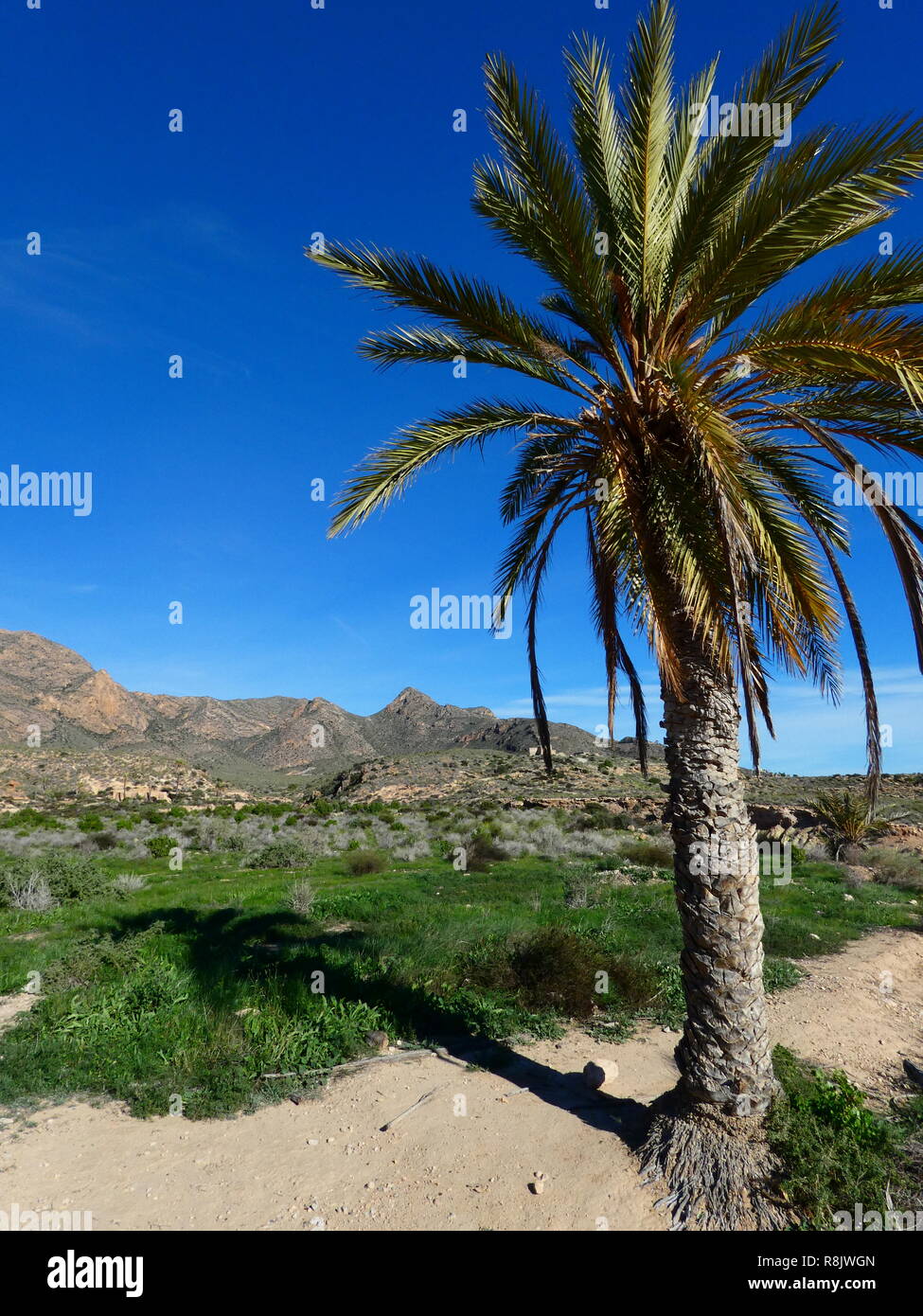 Costa de Mazarrón Murcia Spagna Foto Stock