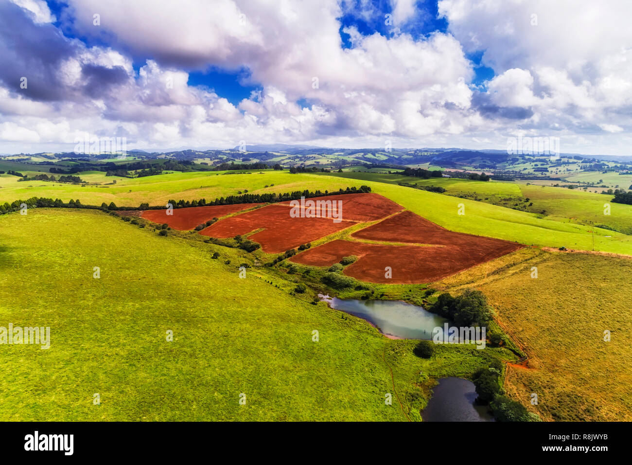 Terra rossa sul campo coltivato ed è circondato da verdi pascoli aziende agricole nei pressi di città regionale di Dorrigo sulla giornata di sole in vista aerea. Foto Stock
