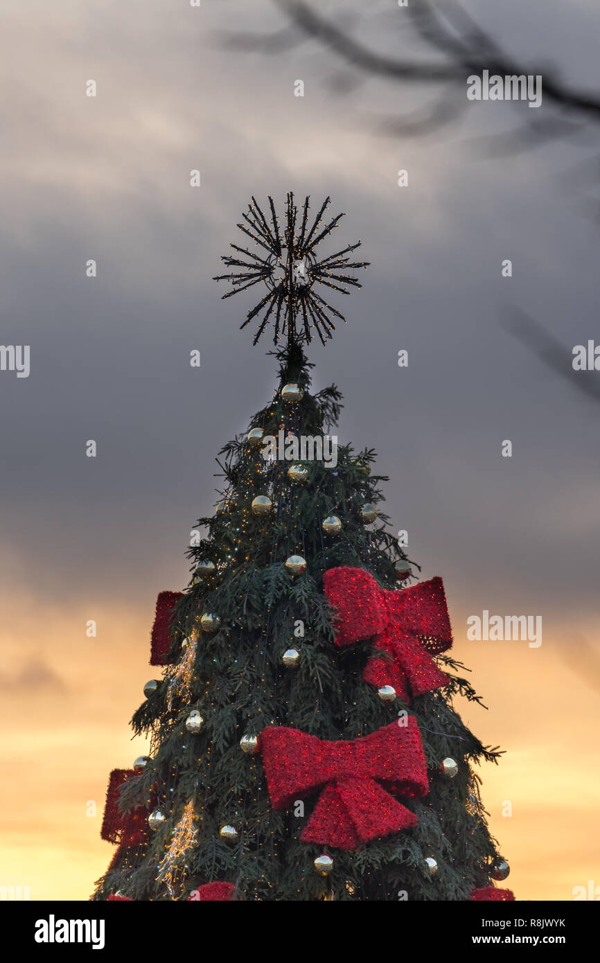 VILNIUS, Lituania - 26 dicembre 2017: arredato ed illuminato albero di Natale durante il tramonto presso la piazza del Municipio, Lituania, Paesi Baltici Foto Stock