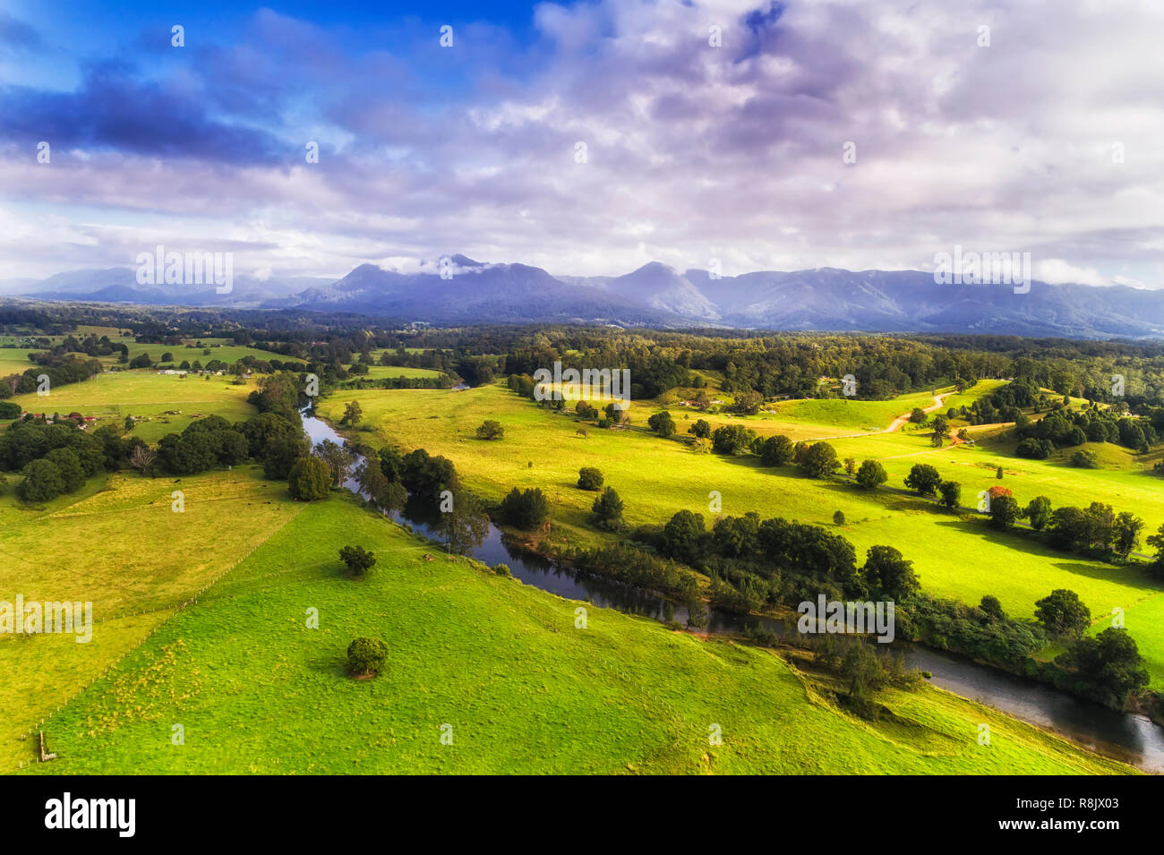 Bellinger agricoltura regione con green farm di pascolo lungo il piccolo fiume verso distanti Dorrigo elevazione del parco nazionale delle montagne. Foto Stock