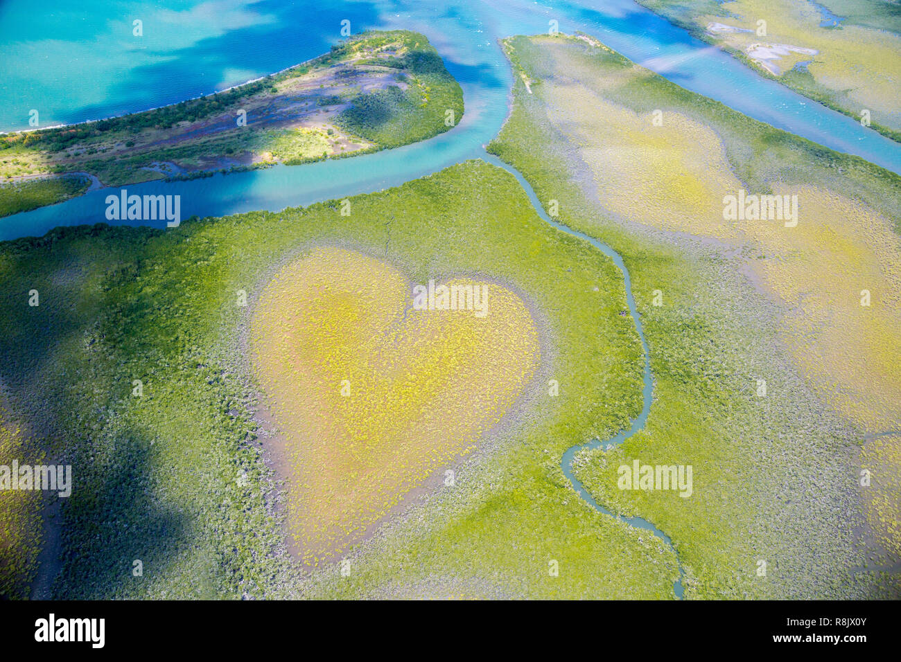 Cuore di Voh, vista aerea, formazione di mangrovie vegetazione assomiglia ad un cuore visto da sopra, Nuova Caledonia, Micronesia, Oceano Pacifico del Sud. Cuore di terra. La giornata della terra. Amare la vita, salvare l'ambiente. Foto Stock