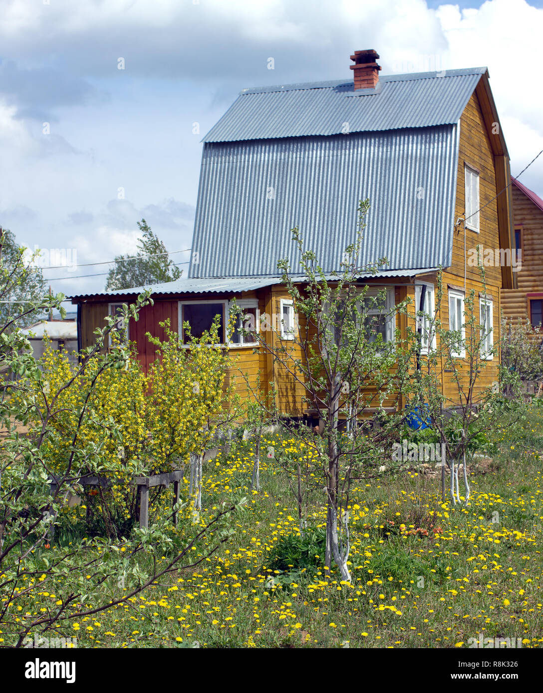Paesaggio con nice suburban casa in legno con tetto metallico e camino in mattoni, verniciato di colore marrone sul prato con sacco giallo di tarassaco in torbida estate d Foto Stock