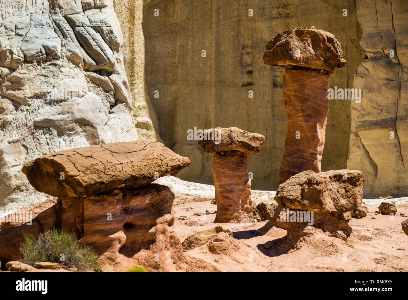 Stati Uniti, Utah, Kanab, sito geologico del Toadstools Foto Stock