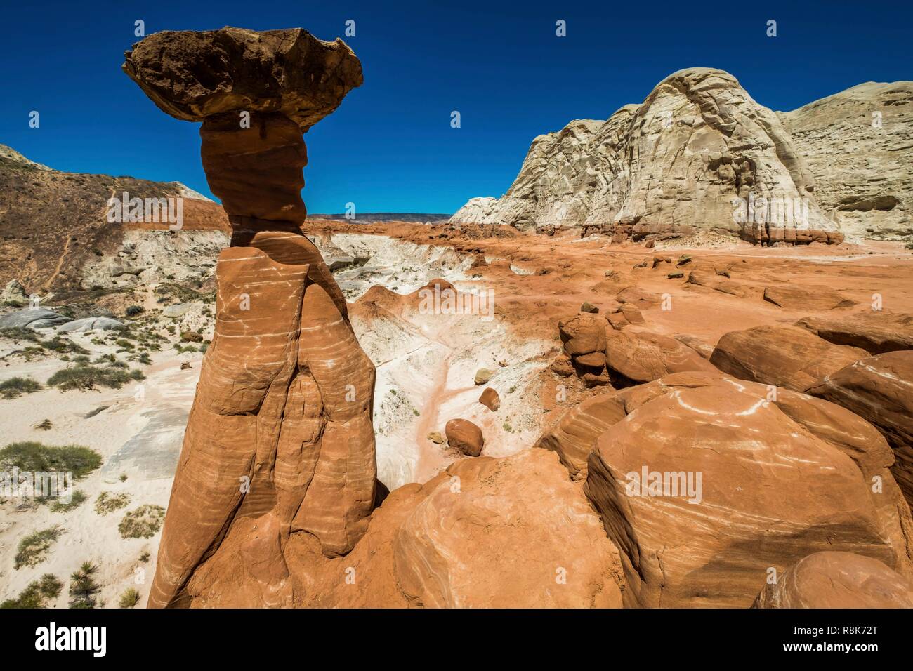 Stati Uniti, Utah, Kanab, sito geologico del Toadstools Foto Stock