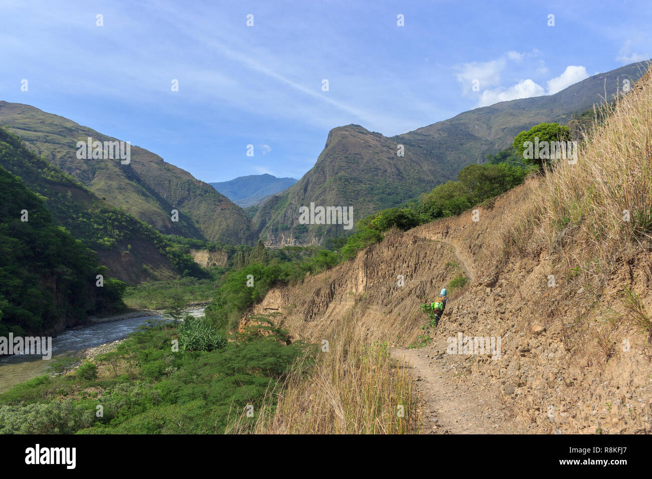 Vista panoramica sulla lussureggiante foresta pluviale sul cammino inca, Perù Foto Stock