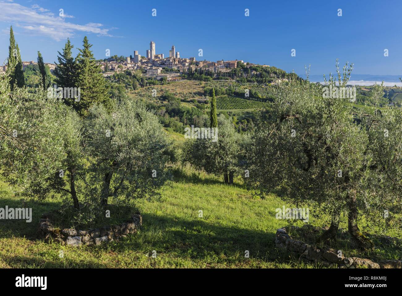 L'Italia, in Toscana, a San Gimignano, classificato come patrimonio mondiale dall' UNESCO Foto Stock