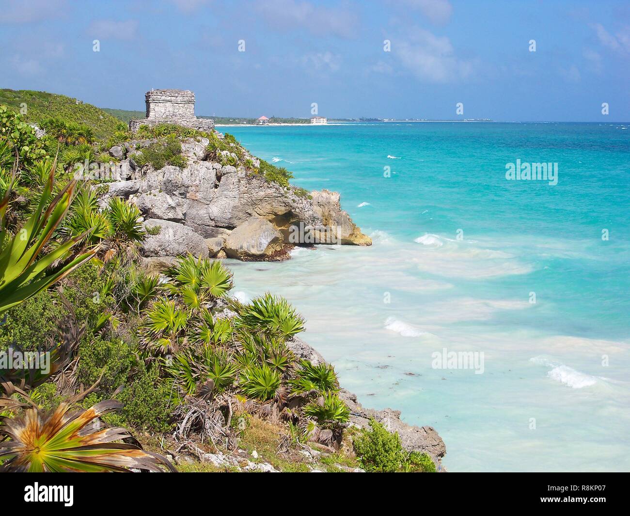 El Castillo tiro lungo con fogliame in primo piano, Messico Foto Stock