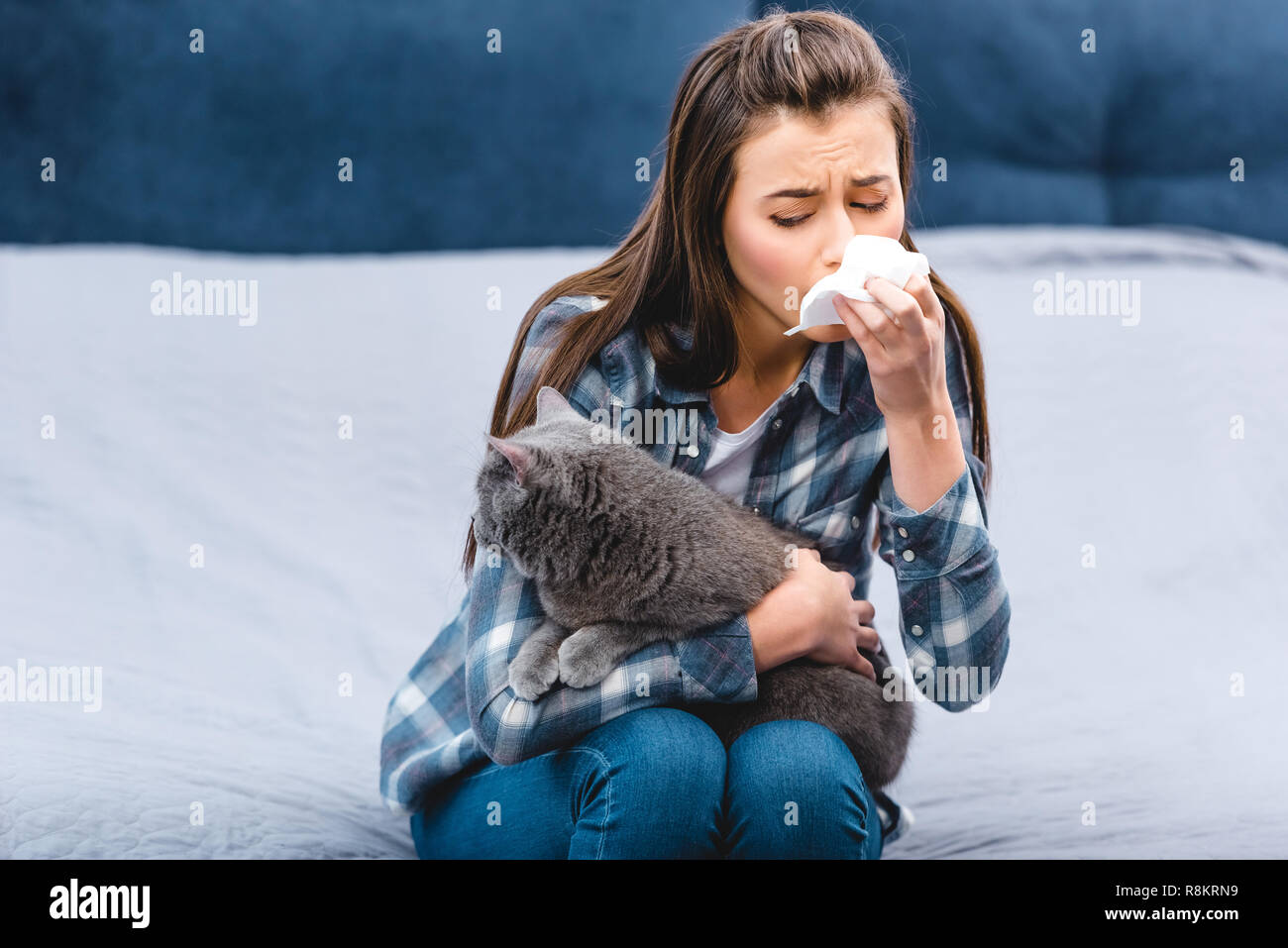 Ragazza con allergia holding facial tissue e British Shorthair cat a casa Foto Stock