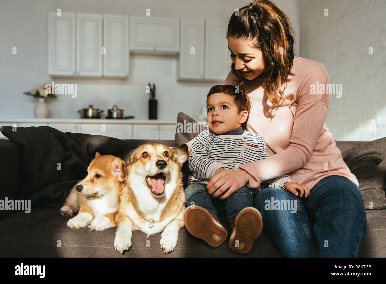 Felice la madre e il Figlio seduto sul divano con il gallese corgi cani a casa Foto Stock
