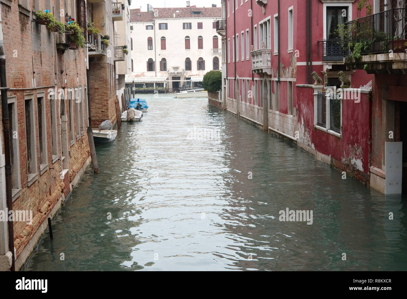 Venezia la Sérénissime. La scoperta della città con i canali, le gondole e i suoi edifici Foto Stock