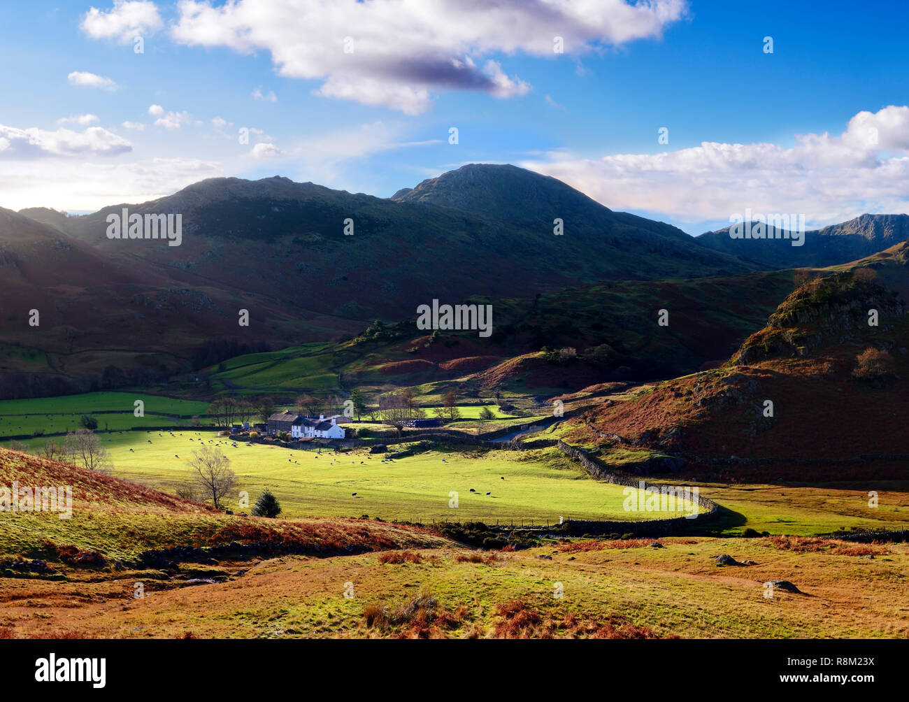 Un autunno autunno vista del Langdale Valley nel Lake District inglese. Foto Stock