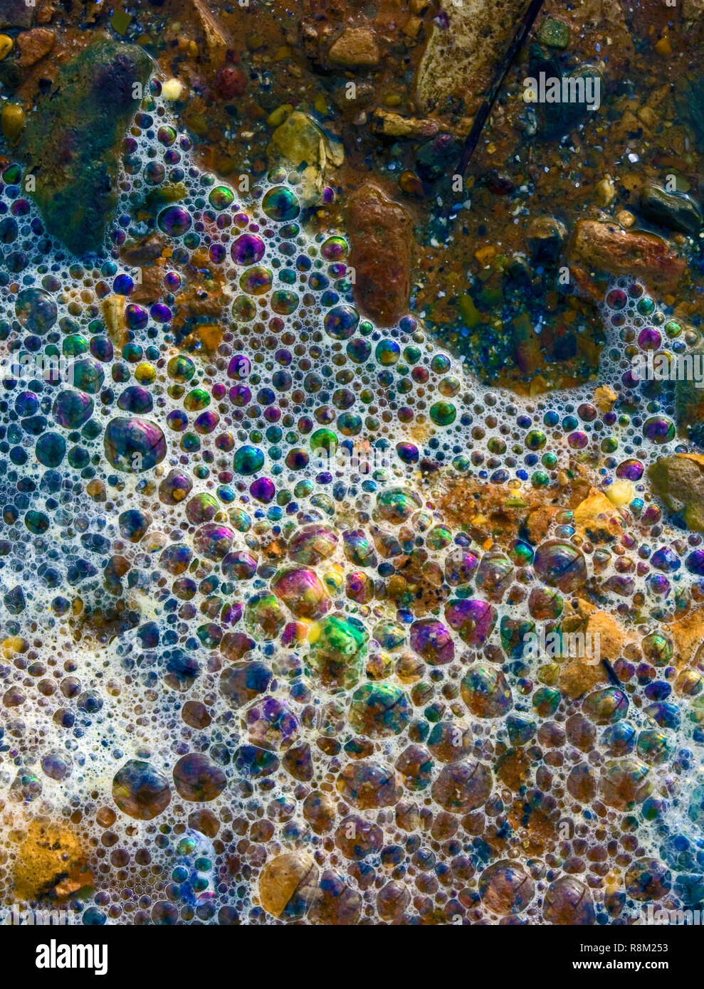 L'acqua di marea che scorre su una costa rocciosa produce bolle attraente come un risultato di rifrange la luce del sole. Foto Stock