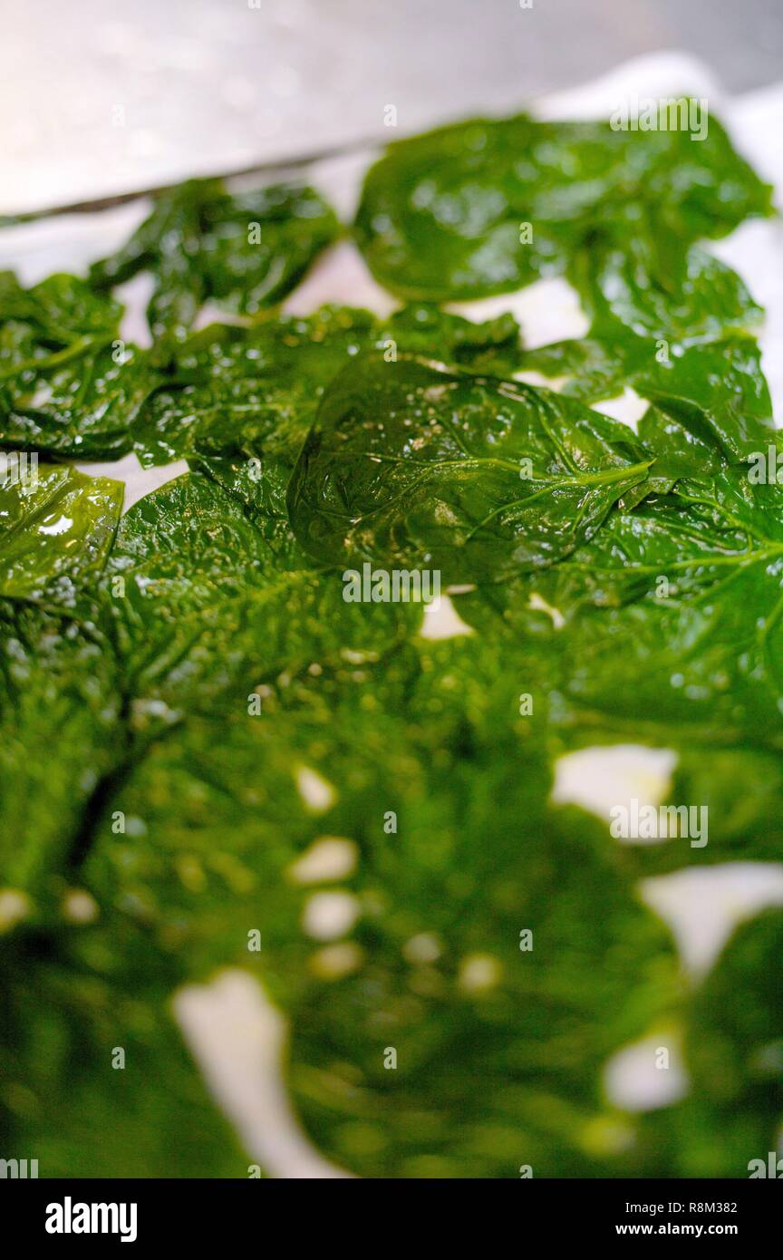 Francia, Parigi, Maison Rostang ristorante da Michel Rostang, preparazione di spinaci Foto Stock