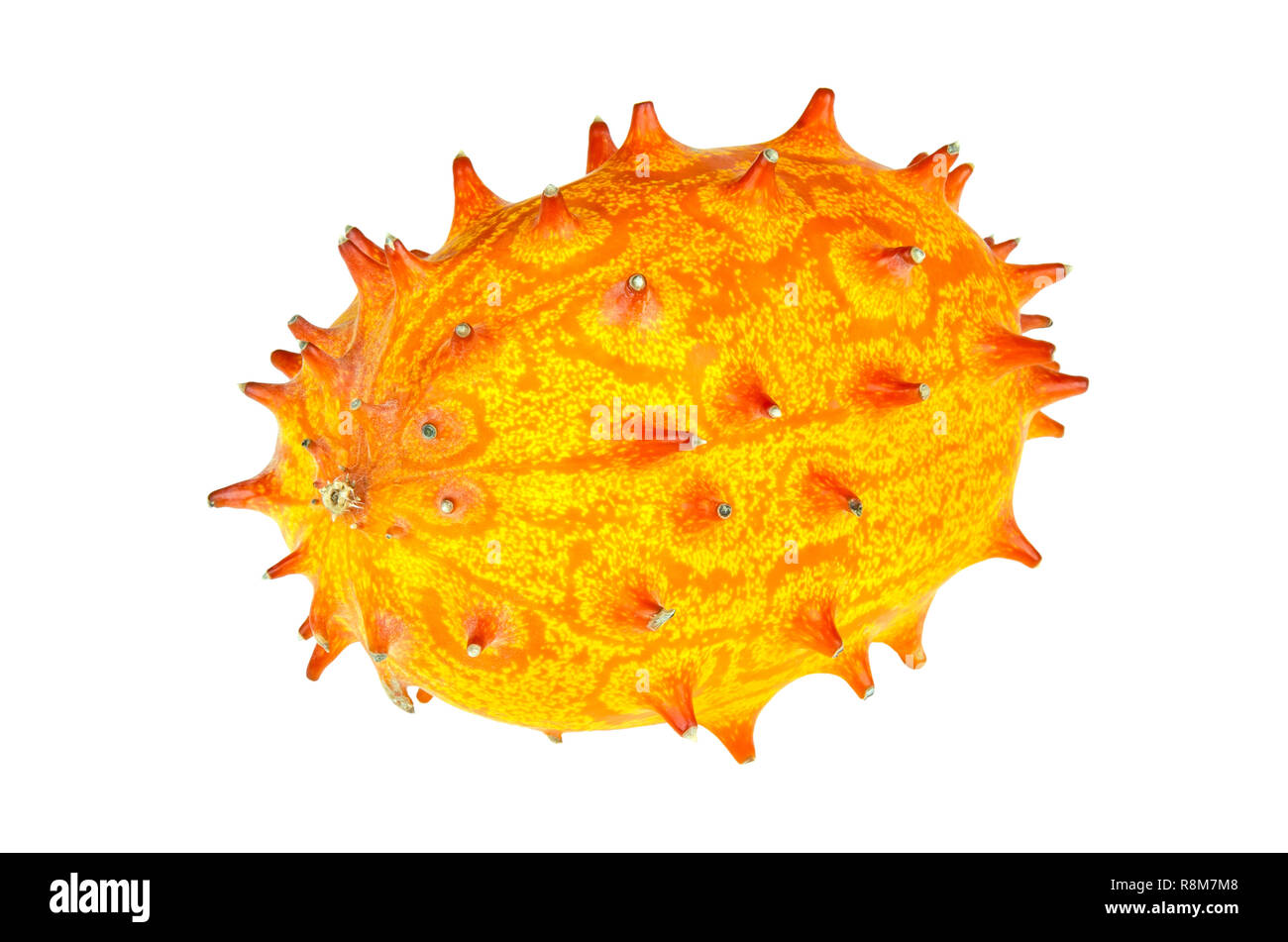 Kiwano, frutta intera su sfondo arancione. Cornuto melone, anche cornuto africana cetriolo, jelly melone, zucca coperto o melano. Frutti maturi. Foto Stock