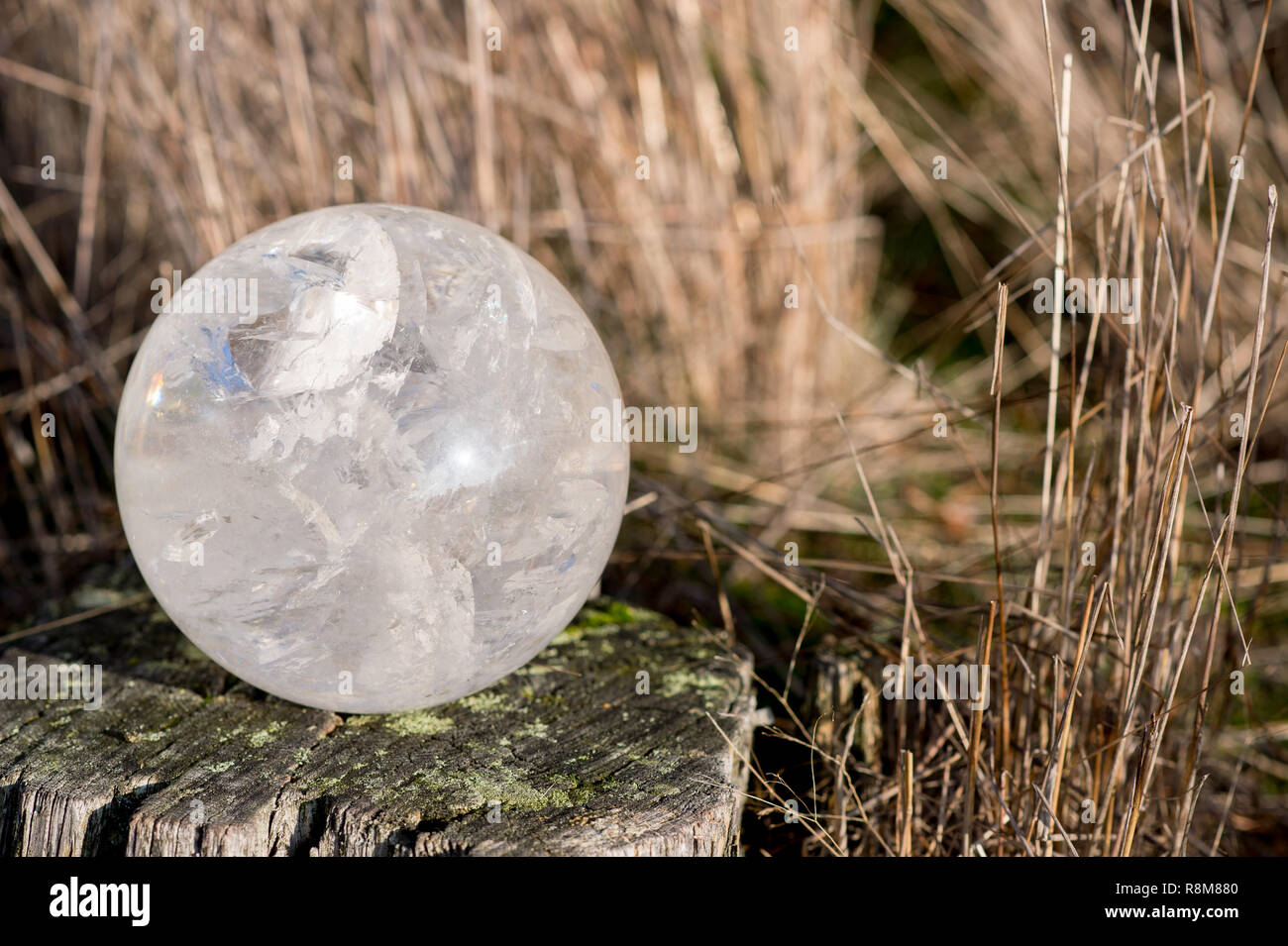Un bianco cristallo di quarzo sfera posa su un vecchio albero nella foresta in autunno Foto Stock