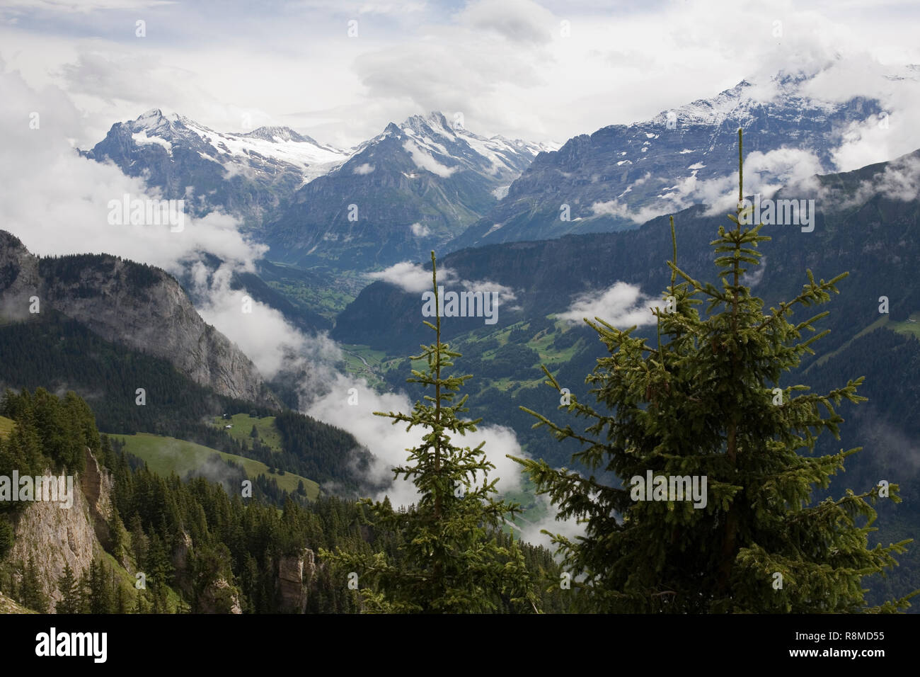 La valle Lütschental, Oberland bernese, Svizzera, dalle alture di Schynige Platte Foto Stock