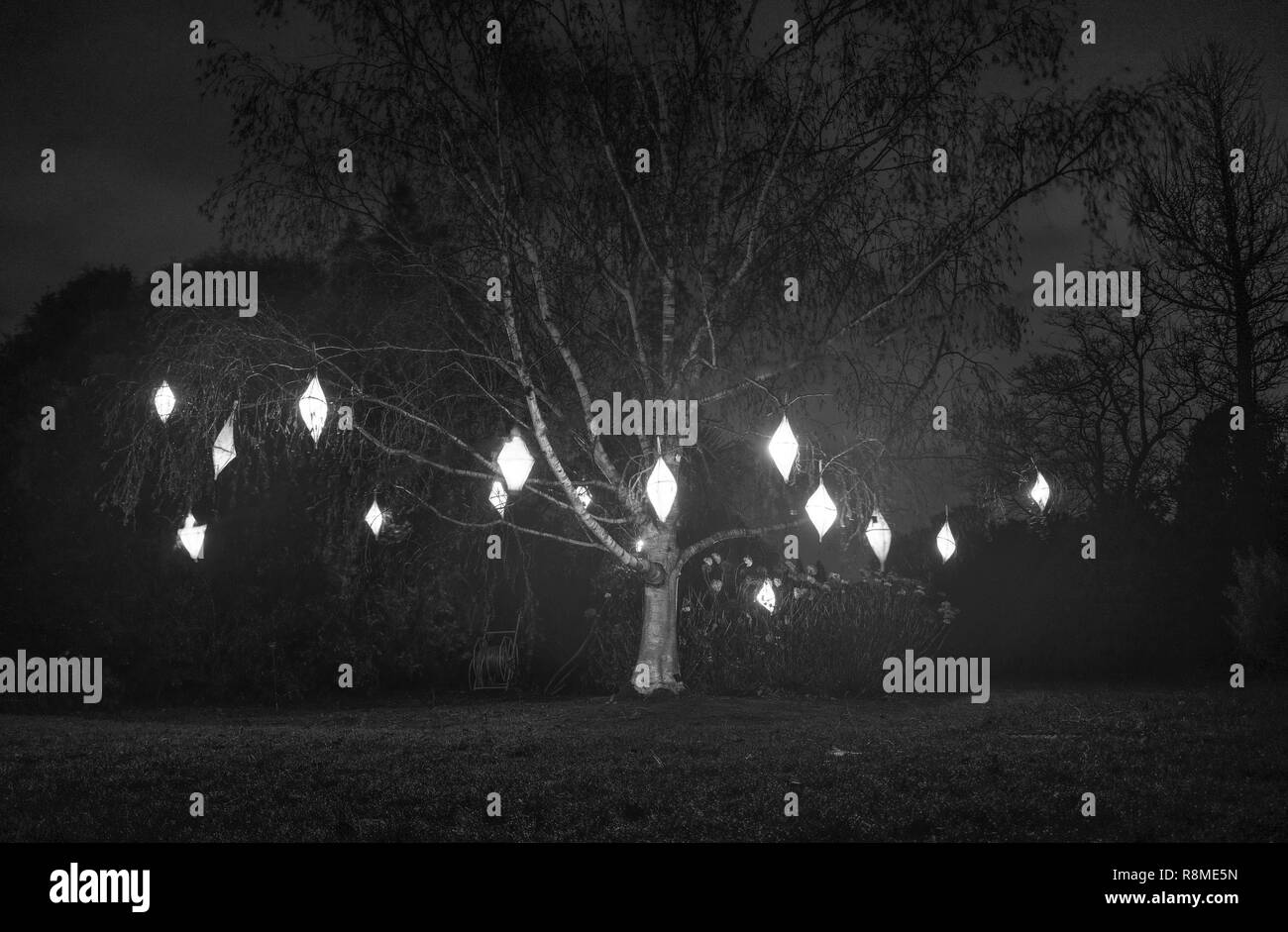 Wakehurst Place Glow selvatica Foto Stock