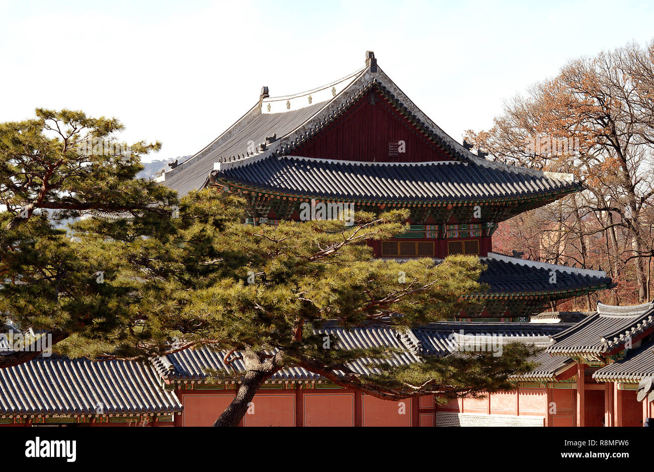 Tetti Hipped, piastrelle, decorazioni dipinte, eremiti, i monaci e i mostri sul tetto come custodi, tipico coreano sontuosa architettura con pino Coreano Foto Stock
