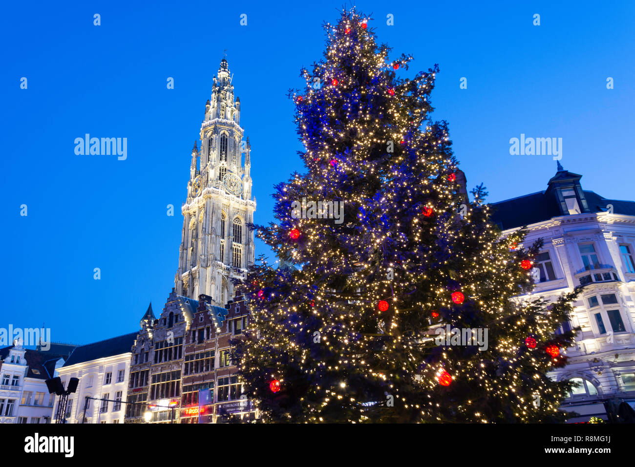 Albero di natale e la Cattedrale di Nostra Signora di Anversa Mercatino di Natale, Grote Markt di Anversa (Antwerpen), Provincia di Anversa, la regione fiamminga, Belgio Foto Stock