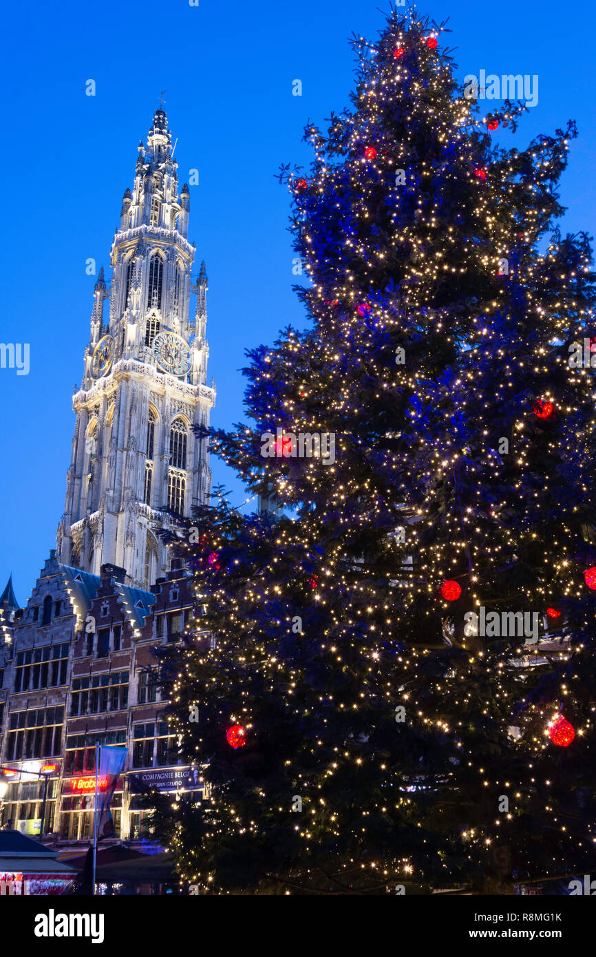 Albero di natale e la Cattedrale di Nostra Signora di Anversa Mercatino di Natale, Grote Markt di Anversa (Antwerpen), Provincia di Anversa, la regione fiamminga, Belgio Foto Stock