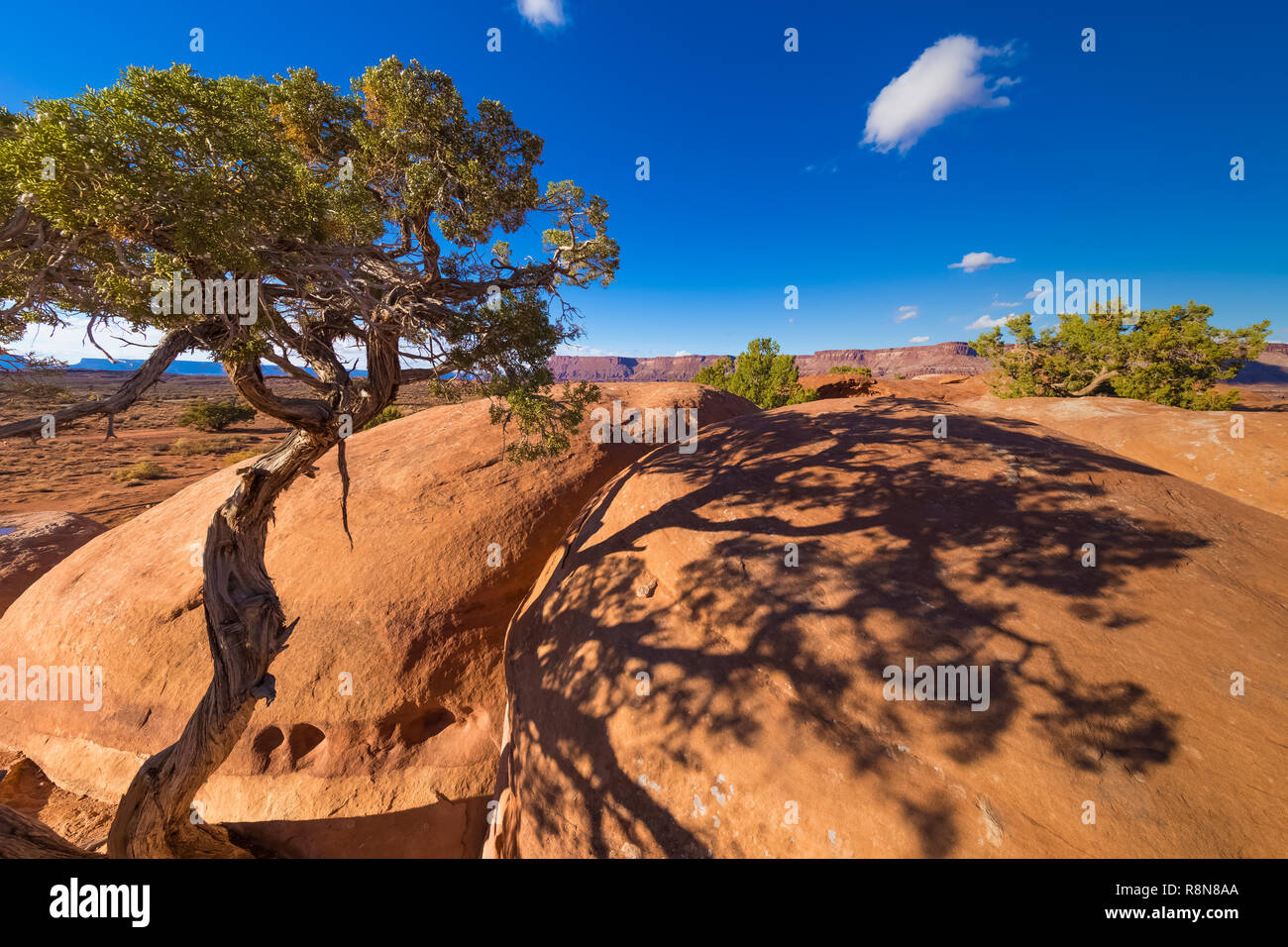 Hamburger Rock Campeggio, una struttura BLM appena fuori dal Parco Nazionale di Canyonlands, Utah, Stati Uniti d'America Foto Stock