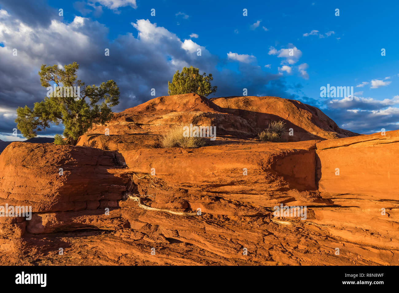 Sunrise glow sulla Red Rock monolito di Hamburger Rock Campeggio, una struttura BLM appena fuori dal Parco Nazionale di Canyonlands, Utah, Stati Uniti d'America Foto Stock