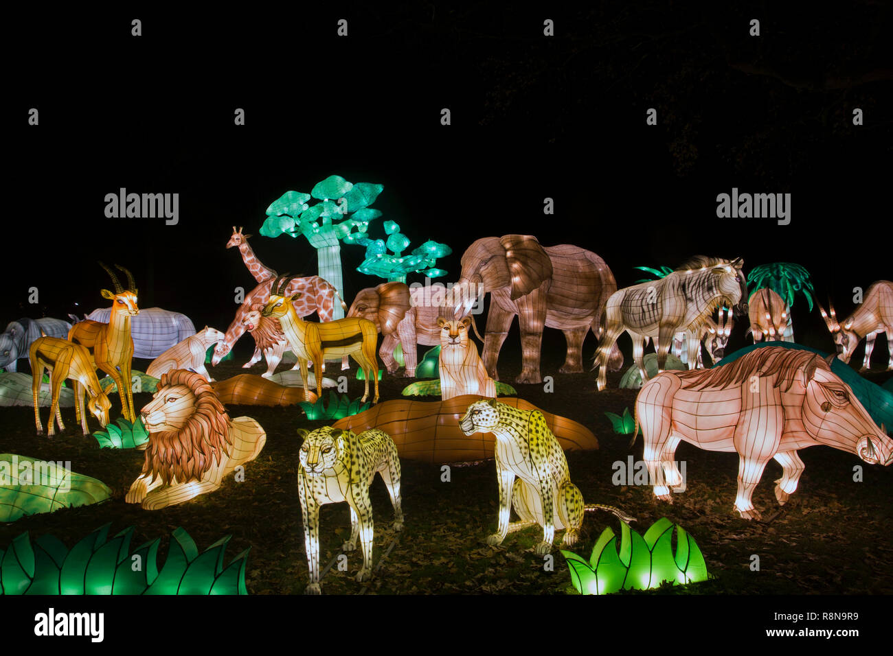 Vari animali selvatici oggetti leggeri e leoni, giraffe, cervi in corrispondenza di una Cina Light Festival Foto Stock
