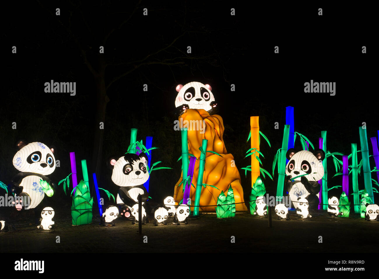 Illuminato cinese panda orsi in Cina Light Festival Foto Stock