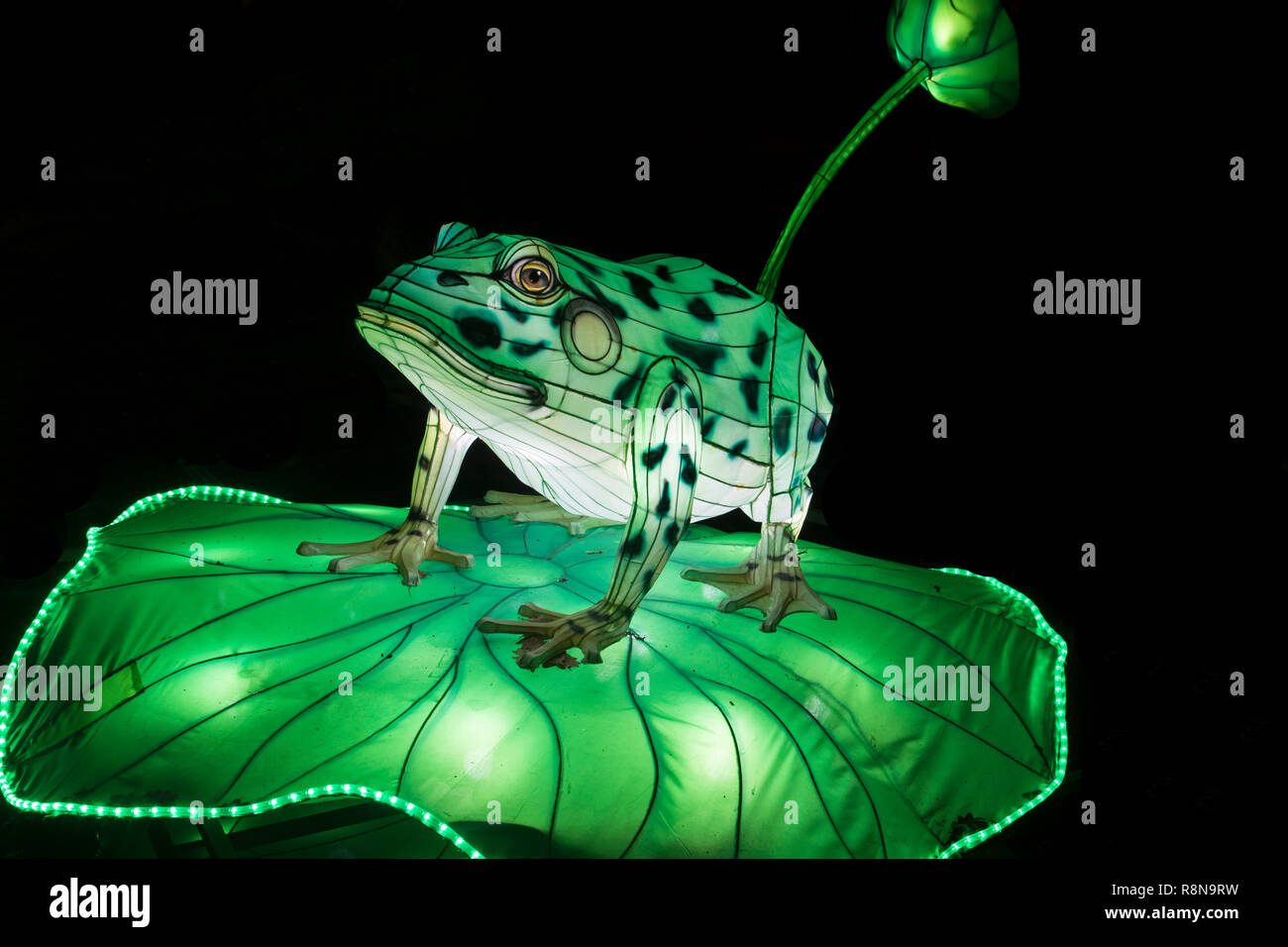 Illuminato verde lightobject rana in corrispondenza di una Cina Light Festival Foto Stock