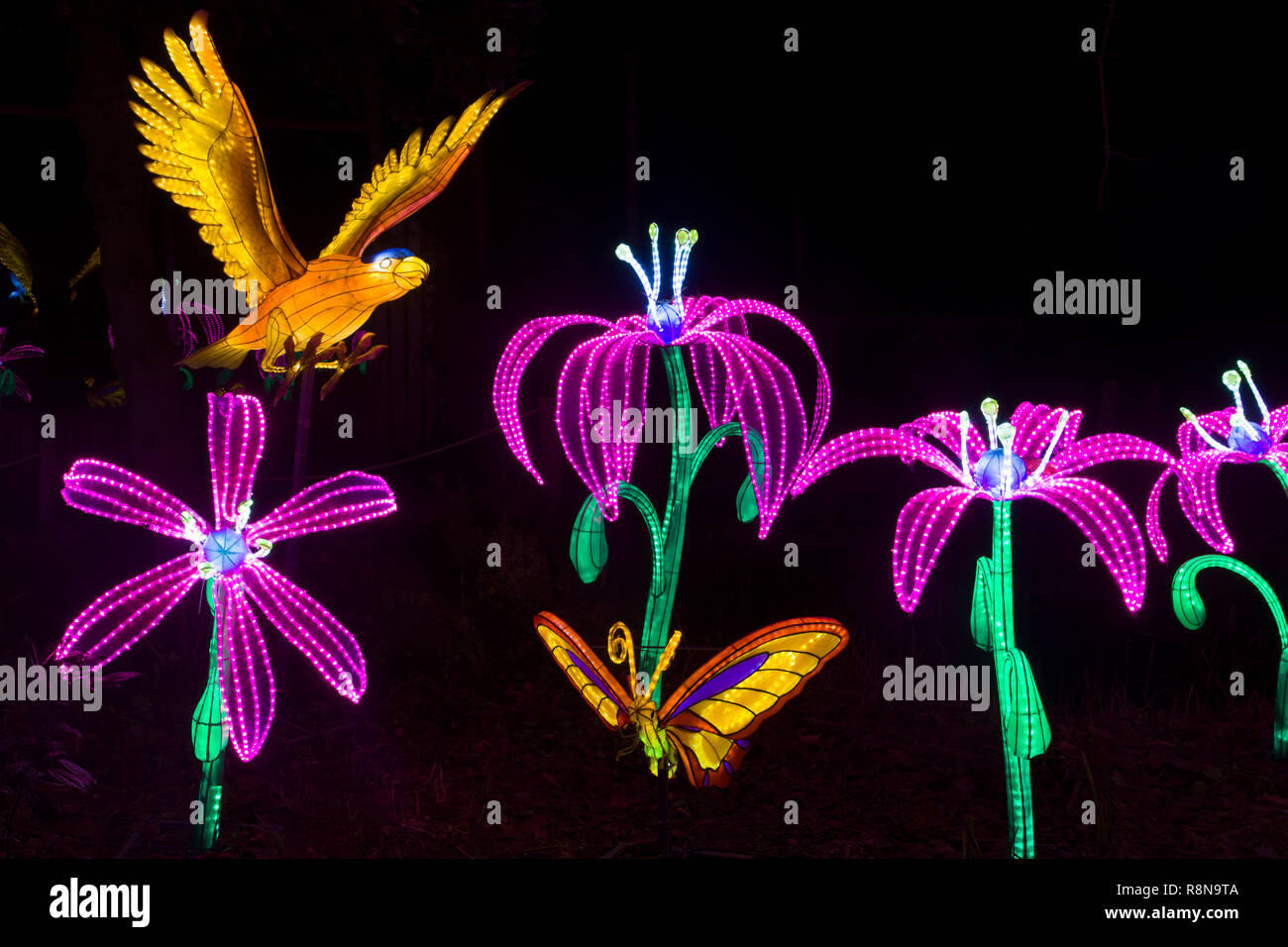 Dei fiori e degli uccelli lightobjects a China Light Festiva Foto Stock