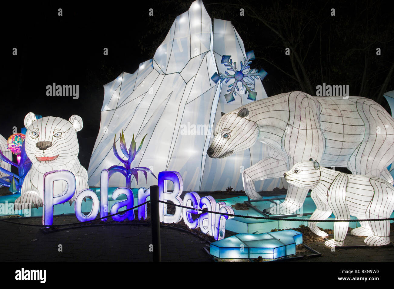 Cinese orso polare lightobject. Durante una china light festival. Foto Stock