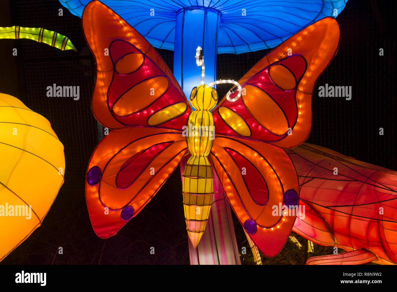 Farfalla cinese scultura di carta brilla al buio a una lanterna asiatici festival Foto Stock