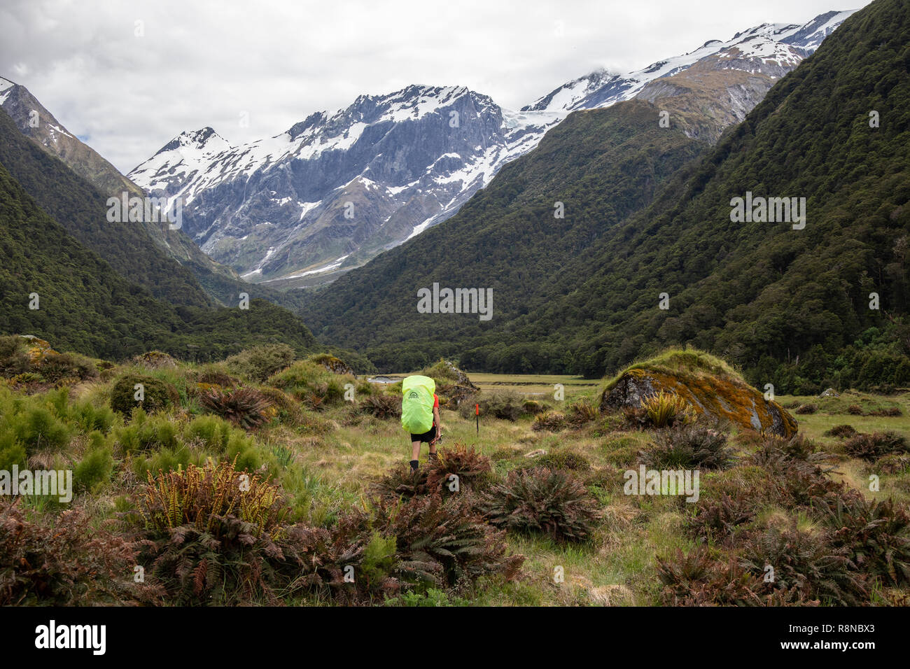 Escursionista nel deserto, Isola del Sud, Nuova Zelanda Foto Stock