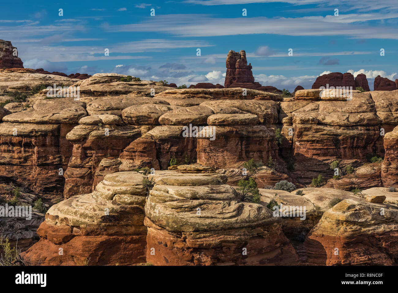 Spettacolari paesaggi di pietra arenaria di slickrock e guglie lungo la Chesler Park Loop Trail nel distretto di aghi del Parco Nazionale di Canyonlands, Utah, oc Foto Stock