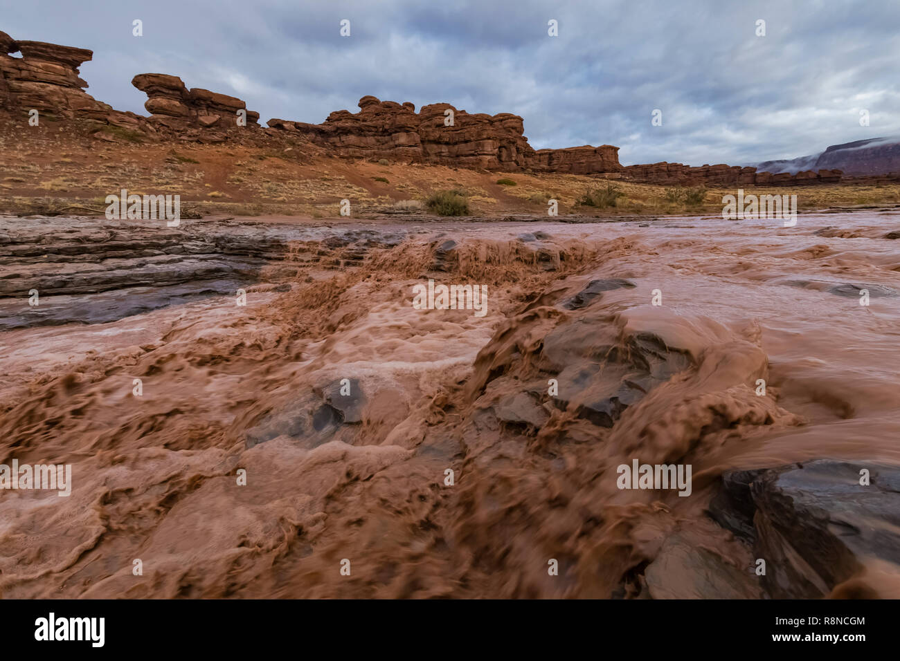 Indian Creek a Indian Creek Falls avente una inondazione dopo piogge pesanti sul BLM terre vicino al Parco Nazionale di Canyonlands, Utah, Stati Uniti d'America Foto Stock