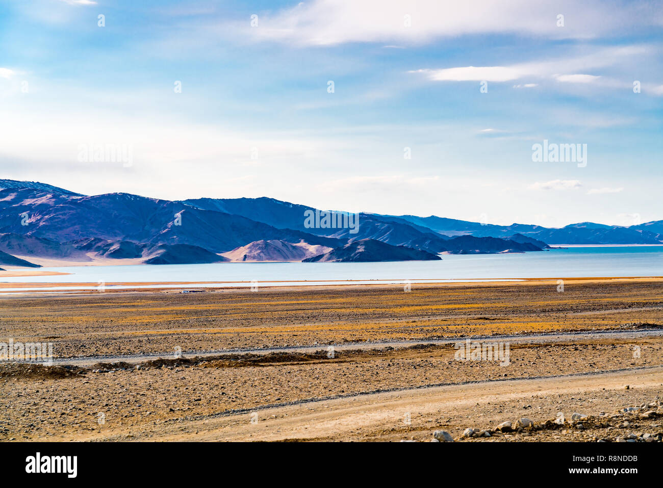 Vista della steppa di grandi dimensioni con gli animali della fattoria vicino al lago di fronte all'alta montagna a Ulgii in Mongolia occidentale Foto Stock