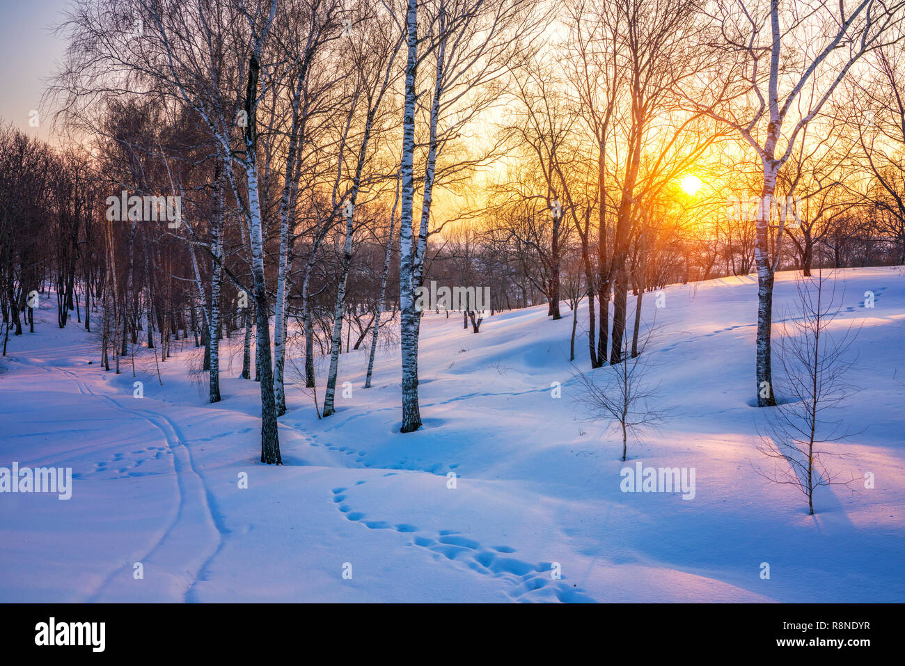 Colorato tramonto in inverno Foto Stock