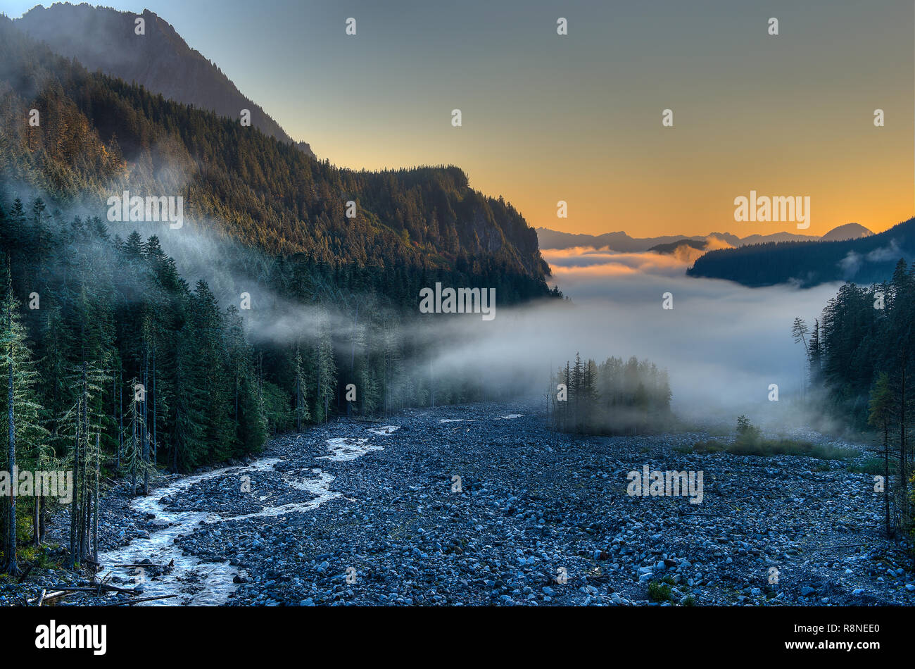La nebbia oltre Nisqually Bacino del fiume Foto Stock