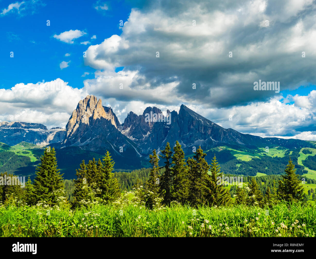 Vista del Gruppo del Sasso Lungo delle Dolomiti all'altopiano alpino Alpe di Siusi in Italia Foto Stock