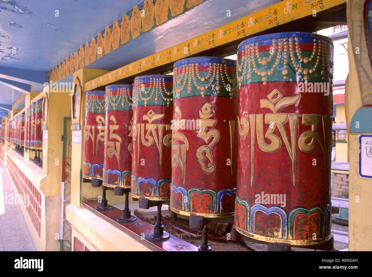 Ruote della preghiera inscritto con script tibetano, mcleod gunj, dharamshala, Himachal Pradesh, India Foto Stock